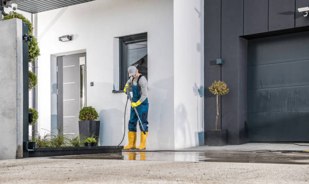 Best Soft Washing  in Vilonia, AR